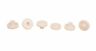 Ger-9056s 046870004328 Bar Maid Nylon Gear Set Of