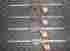 3406 3422 Pony Jorgensen 4 E-z Hold Ii 6 Quick Grip Spreader Bar Clamps Made In Usa