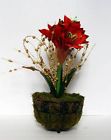 Containers Centerpieces Eye Dual Catching Purpose