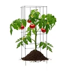 Glamos Wire Square Plant Support Tower Tomato Cage 42"H Heavy Duty Steel 5-PACK. Fixed Price $233.97.