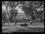 Photo:woodstock Illinois Square 1941 Aug Bench Trees Downtown Shops. Fixed Price $13.49.